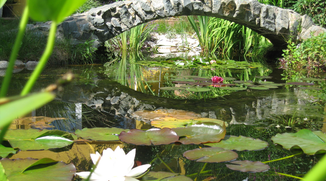 , Dirk Liesch [CC BY 4.0 (https://creativecommons.org/licenses/by/4.0)]