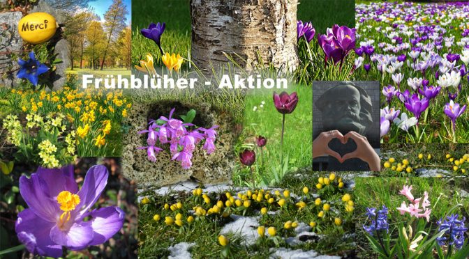 Frühblüher Mitmach-Aktion 2018