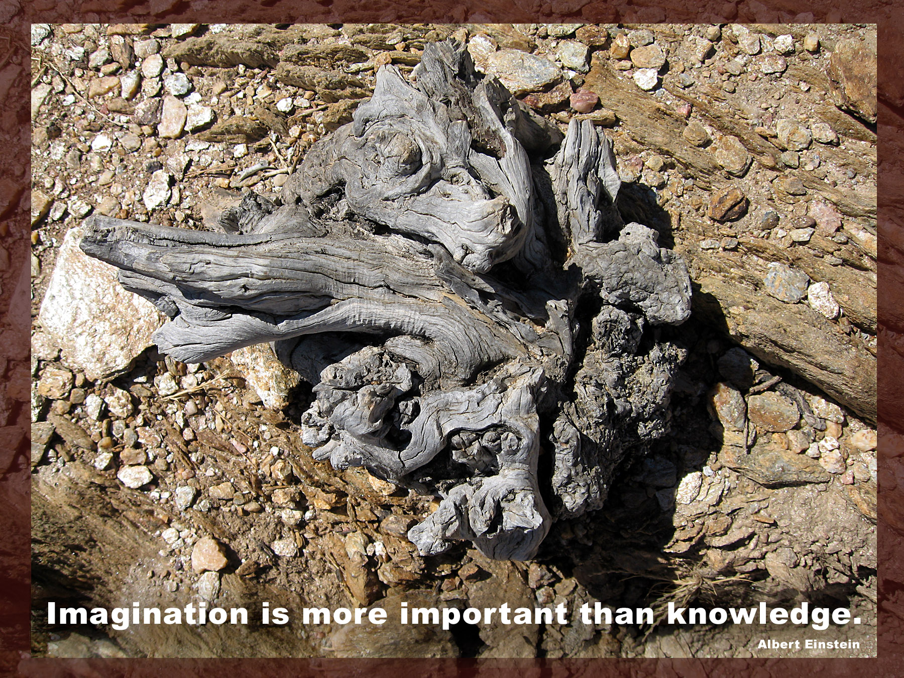 Spruchkarten Lebenswertes Chemnitz