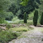 am Botanischen Garten Chemnitz, Dirk Liesch [CC BY 4.0 (https://creativecommons.org/licenses/by/4.0)]