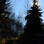 , Dirk Liesch [CC BY 4.0 (https://creativecommons.org/licenses/by/4.0)]