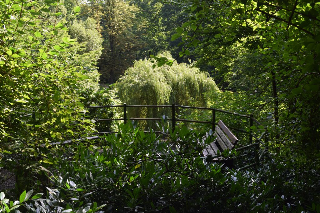 Stadtpark Chemnitz- Sitzgruppe über kleinem Teich, Dirk Liesch [CC BY 4.0 (https://creativecommons.org/licenses/by/4.0)]