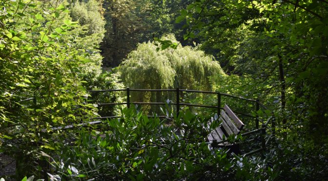 14. Dezember 2023 -Adventskalender