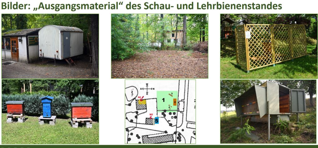 Konzept des zentralen Schau- und Lehrbienenstandes im Botanischen Garten Chemnitz