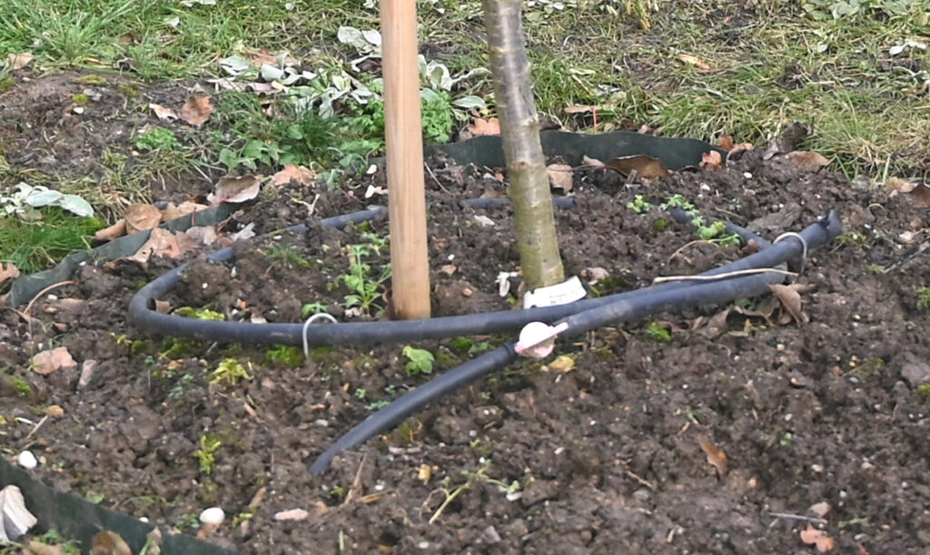 Beispiel: 16mm (1/2 Zoll) Tröpfchenbewässerung, Kirschbaum Neupflanzung