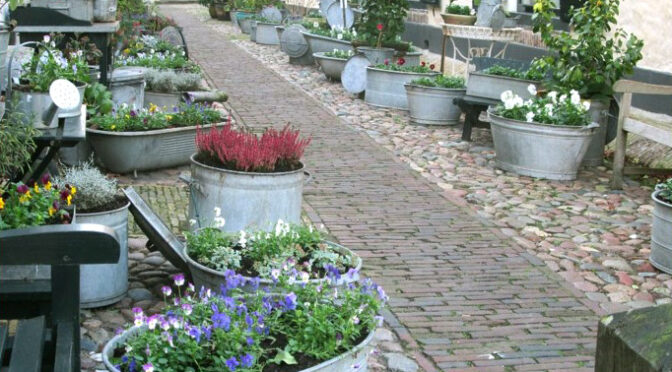 4. Dezember 2023 -Adventskalender