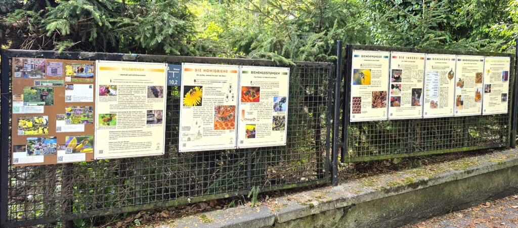Bienen Info am Eingang des Wissensgarten Chemnitz