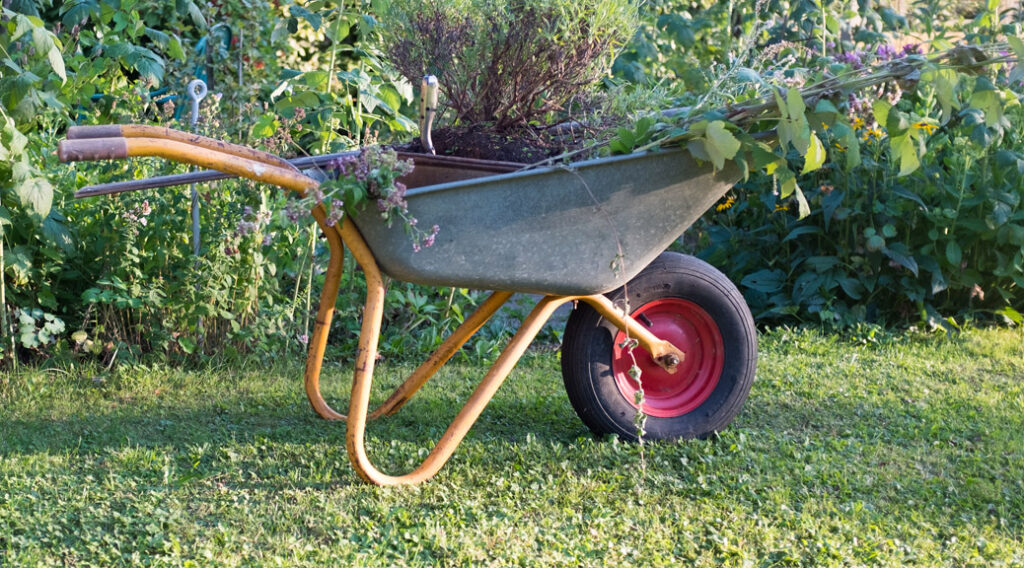Die Schubkarre, als Symbol des "Wissensgarten" als Modell im Wissensmanagement